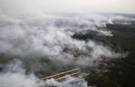 Kebakaran Riau: Walhi Tuding 89 Perusahaan HTI dan Kelapa Sawit