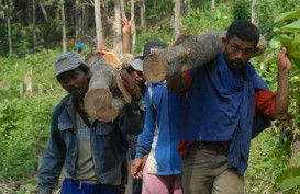 Perum Perhutani Targetkan Laba Bersih Rp287 Miliar