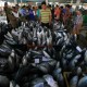 41,04% Ekspor Ikan Bali Diserap Jepang
