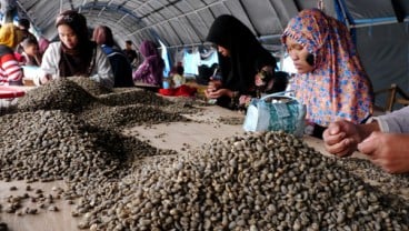 Harga Kopi Melambung Di Atas US$2