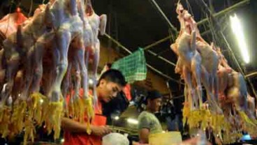 Pasar Kurang Ayam Kampung, Banyak Peternak Bangkrut