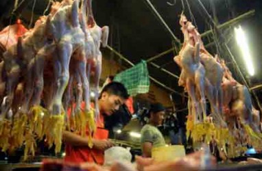 Pasar Kurang Ayam Kampung, Banyak Peternak Bangkrut