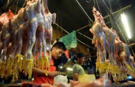 Pasar Kurang Ayam Kampung, Banyak Peternak Bangkrut