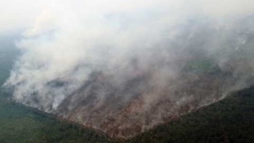 Kabut Asap Riau Level Bahaya, Sekolah & Kampus Diliburkan