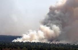 BNPB: Dampak Pembakaran Hutan di Riau Meluas