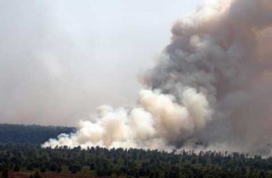 BNPB: Dampak Pembakaran Hutan di Riau Meluas