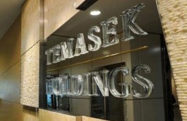 Temasek Caplok 24,6% Saham Olam