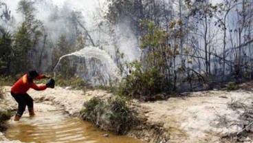 RAPP Tambah Personel 130 Pemadam Kebakaran Hutan