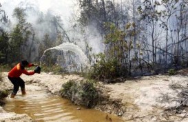 RAPP Tambah Personel 130 Pemadam Kebakaran Hutan