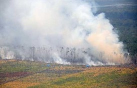 Mahasiswa Riau Sebut Kabut Asap Bukan Bencana, tapi Praktek Kejahatan