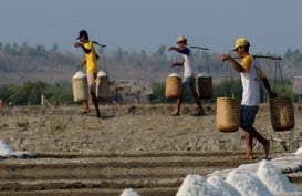 Incar Swasembada Garam, Pugar Jateng Diguyur Dana Rp8,7 Miliar