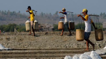 Incar Swasembada Garam, Pugar Jateng Diguyur Dana Rp8,7 Miliar