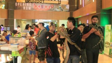 30 Komunitas Pecinta Binatang Gelar Reptil Funday