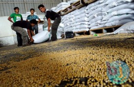 Indonesia Berpotensi Impor Kedelai Secara Bersa-besaran