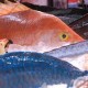 Seafood Indonesia Unjuk Gigi di AS