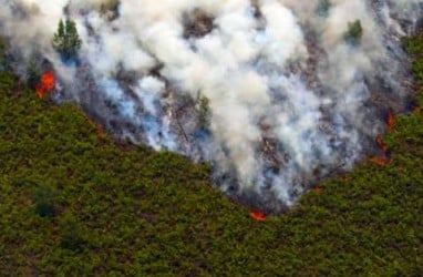 Kabut Asap Riau: KLH Sebut 4 Perusahaan Terlibat Pembakaran Hutan