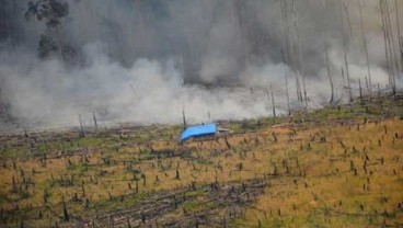 KLH: Perusahaan Kelapa Sawit Dan HTI  Terlibat Pembakaran Hutan Riau