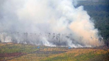 Kebakaran Hutan Riau: 67 Orang Ditetapkan Sebagai Tersangka