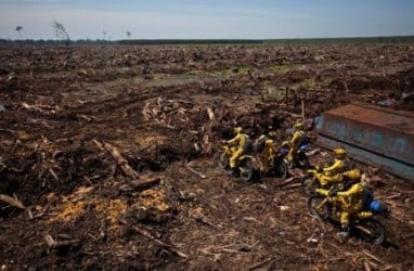 Masyarakat Tiga Benua Desak Setop Produksi dan Perdagangan dari Lahan Rampasan