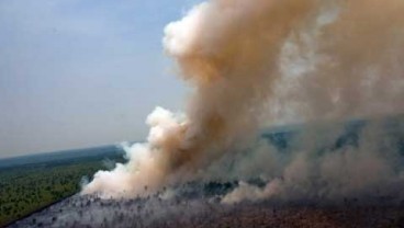 Atasi Kebakaran Hutan Riau: Sudah 60 Ton Garam Ditaburkan