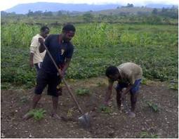 Herbal Ara Papua Obati HIV/AIDS, Yulianus & Agus Sembuh