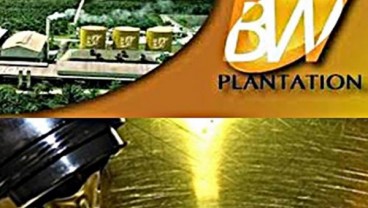 Beban dan Rugi Kurs Melonjak, Laba BW Plantation Turun 30,67%