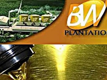 Beban dan Rugi Kurs Melonjak, Laba BW Plantation Turun 30,67%