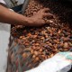 Produksi Kakao Tertekan Pertumbuhan Industri Coklat