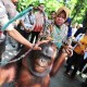 Areal Kebun Binatang Surabaya Diperluas