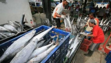 Jualan Ikan di AS Laku US$48,92 Juta