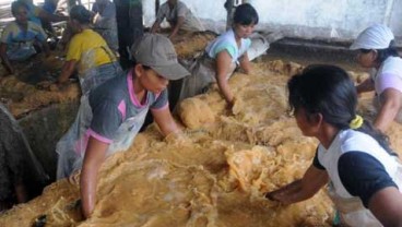 Sagu Bisa Gantikan Gandum Impor