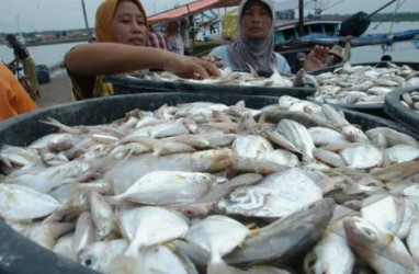 Kadin Rangkul Koperasi Loka Mina Budidayakan Ikan Bawal Bintang