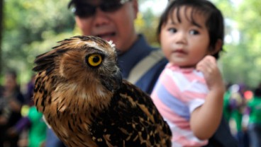 Libur NYEPI: Senin, Satwa Ragunan Tetap 'Bekerja'