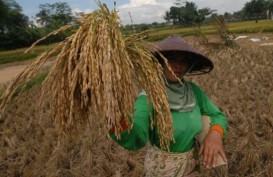 RISET OXFARM, Indonesia Bantah Kualitas Pangan Buruk