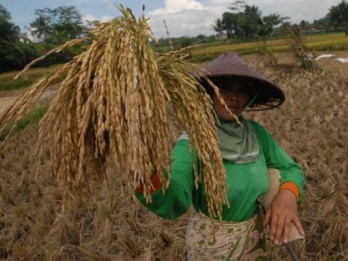 RISET OXFARM, Indonesia Bantah Kualitas Pangan Buruk