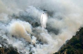 Kebakaran Hutan Riau: 1.000 TNI Akan Dipulangkan