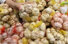 INFLASI JATENG: Bawang Putih, Bawang Merah, dan Kangkung Jadi Biang Keladi