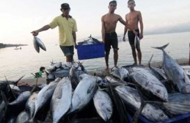 Tangkapan Ikan Minim, Ekspor Bali Melambat