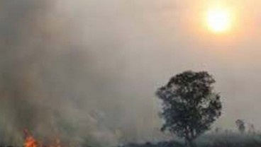 TNI Kerahkan 2.000 Personil Antisipasi Kemarau di Riau
