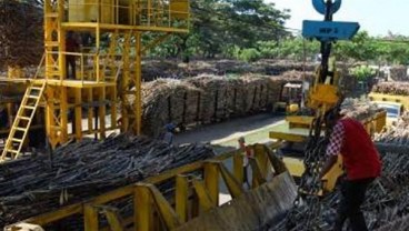 PTPN VII Target Produksi Gula Tahun Ini 166.000 Ton