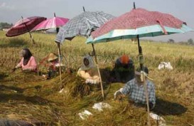 Tasikmalaya Genjot Cetak Lahan Pertanian