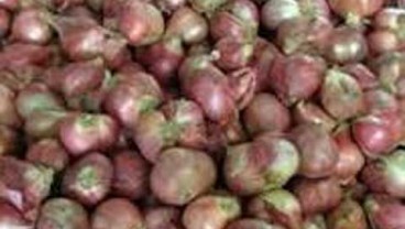 Stok Bawang Merah Bulan Ini Defisit 6.900 Ton