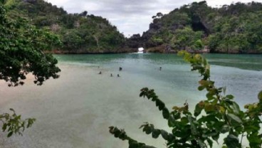 PULAU SEMPU: 'Surga' Di Timur Jawa