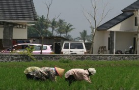 Kabupaten Malang Perketat Izin Alih Fungsi Lahan Pertanian