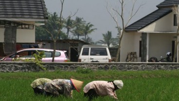 Kabupaten Malang Perketat Izin Alih Fungsi Lahan Pertanian