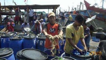 Kementerian Kelautan dan Perikanan Dorong Budidaya Payau dan Laut