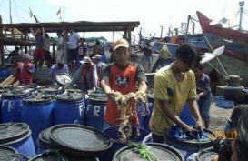 Kementerian Kelautan dan Perikanan Dorong Budidaya Payau dan Laut