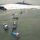 Kapal Korsel Tenggelam: Pencarian Dilanjutkan, 290 Korban Belum Ditemukan