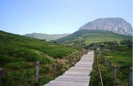 Pulau Jeju, Tujuan Wisata Ferry Tenggelam