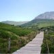 Pulau Jeju, Tujuan Wisata Ferry Tenggelam